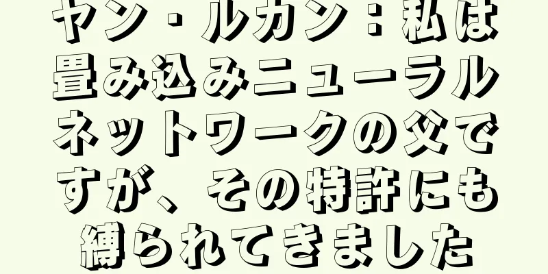 ヤン・ルカン：私は畳み込みニューラルネットワークの父ですが、その特許にも縛られてきました