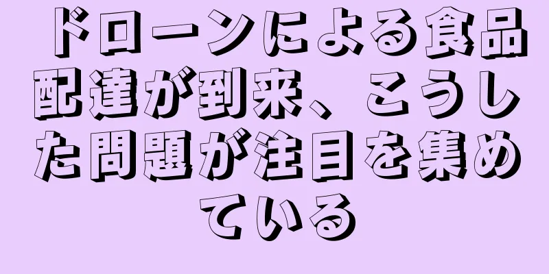 ドローンによる食品配達が到来、こうした問題が注目を集めている