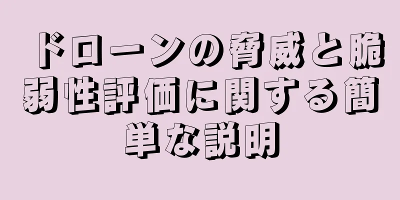 ドローンの脅威と脆弱性評価に関する簡単な説明