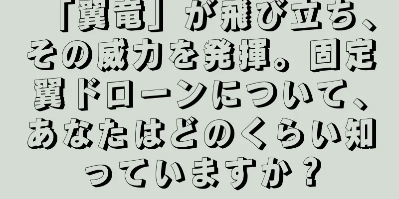 「翼竜」が飛び立ち、その威力を発揮。固定翼ドローンについて、あなたはどのくらい知っていますか？