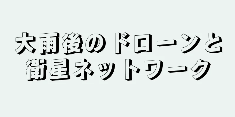 大雨後のドローンと衛星ネットワーク