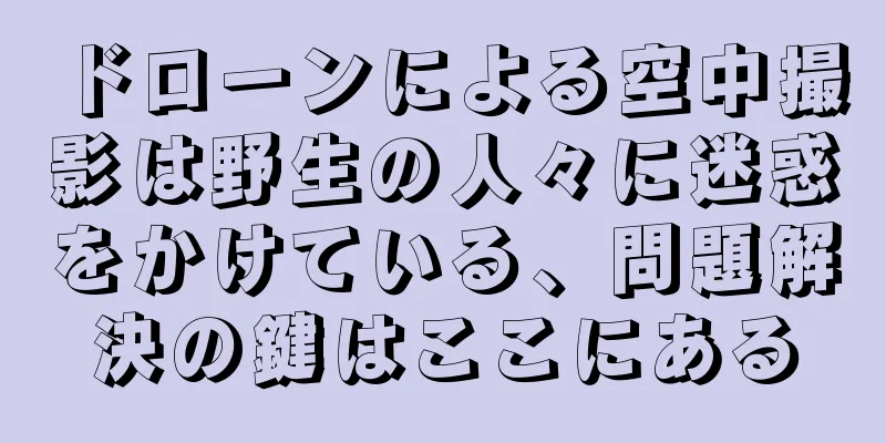 ドローンによる空中撮影は野生の人々に迷惑をかけている、問題解決の鍵はここにある