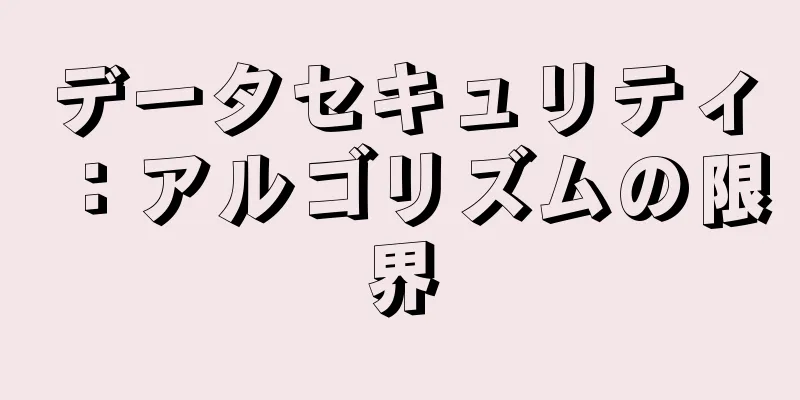 データセキュリティ：アルゴリズムの限界