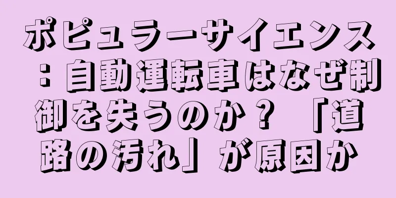 ポピュラーサイエンス：自動運転車はなぜ制御を失うのか？ 「道路の汚れ」が原因か