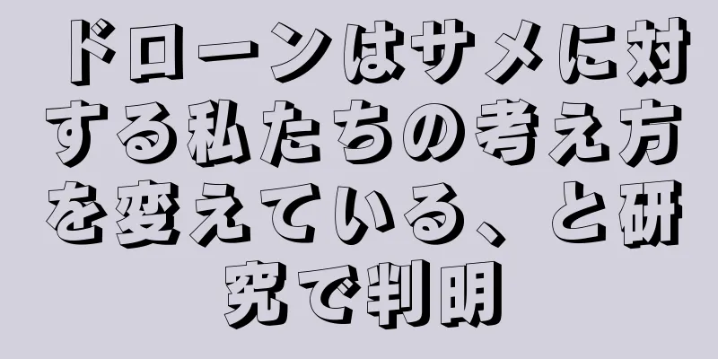 ドローンはサメに対する私たちの考え方を変えている、と研究で判明