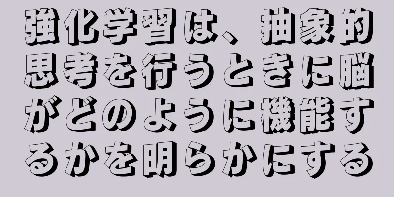 強化学習は、抽象的思考を行うときに脳がどのように機能するかを明らかにする