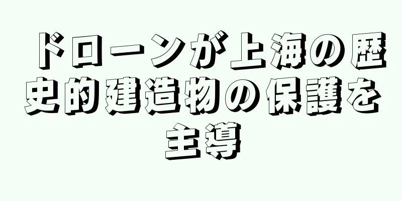 ドローンが上海の歴史的建造物の保護を主導