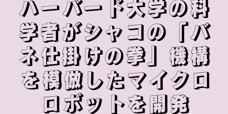 ハーバード大学の科学者がシャコの「バネ仕掛けの拳」機構を模倣したマイクロロボットを開発