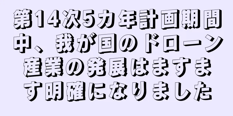 第14次5カ年計画期間中、我が国のドローン産業の発展はますます明確になりました