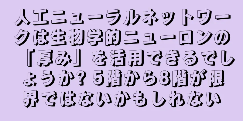 人工ニューラルネットワークは生物学的ニューロンの「厚み」を活用できるでしょうか? 5階から8階が限界ではないかもしれない
