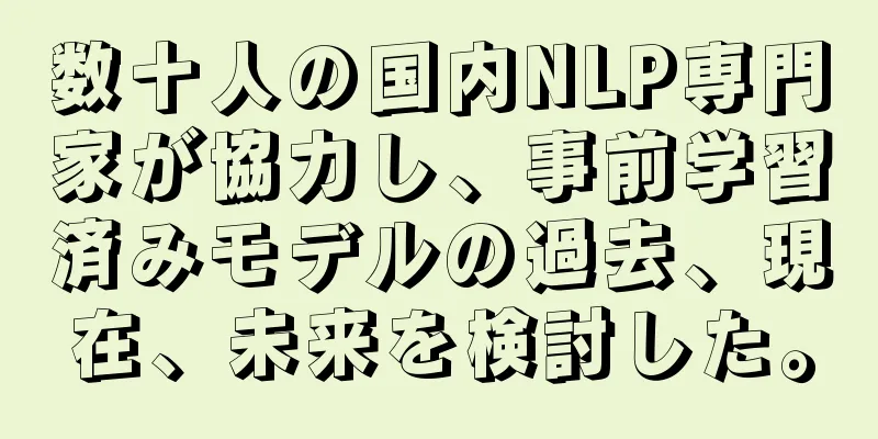 数十人の国内NLP専門家が協力し、事前学習済みモデルの過去、現在、未来を検討した。