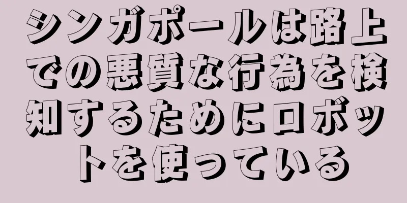 シンガポールは路上での悪質な行為を検知するためにロボットを使っている