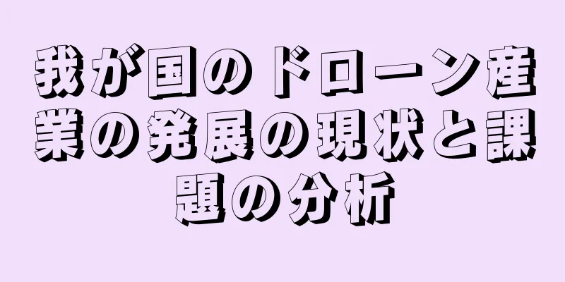 我が国のドローン産業の発展の現状と課題の分析