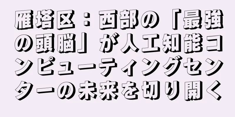 雁塔区：西部の「最強の頭脳」が人工知能コンピューティングセンターの未来を切り開く