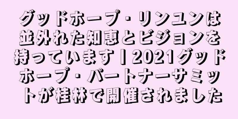 グッドホープ・リンユンは並外れた知恵とビジョンを持っています丨2021グッドホープ・パートナーサミットが桂林で開催されました