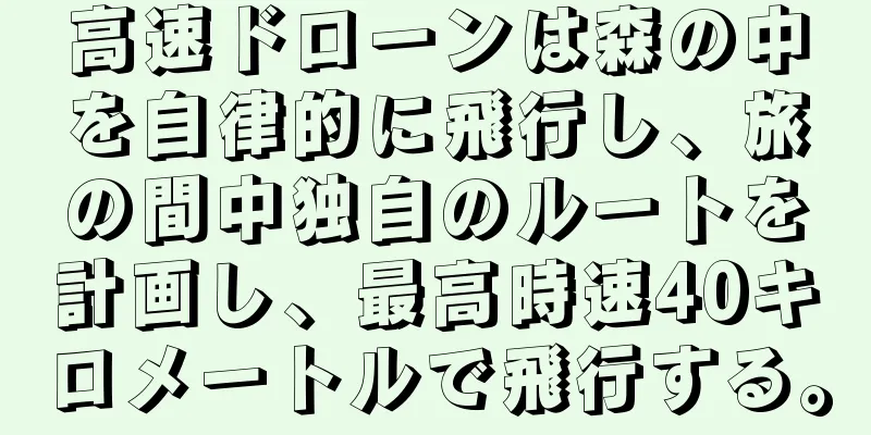 高速ドローンは森の中を自律的に飛行し、旅の間中独自のルートを計画し、最高時速40キロメートルで飛行する。