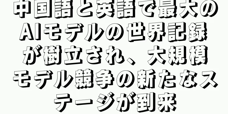 中国語と英語で最大のAIモデルの世界記録が樹立され、大規模モデル競争の新たなステージが到来