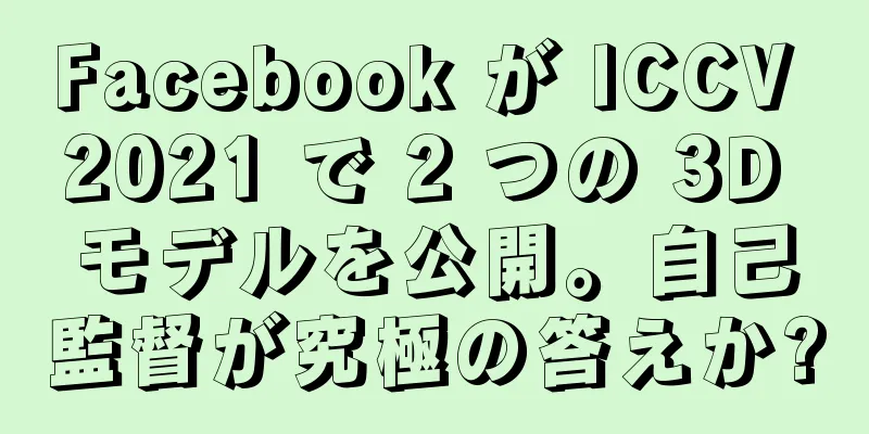 Facebook が ICCV 2021 で 2 つの 3D モデルを公開。自己監督が究極の答えか?
