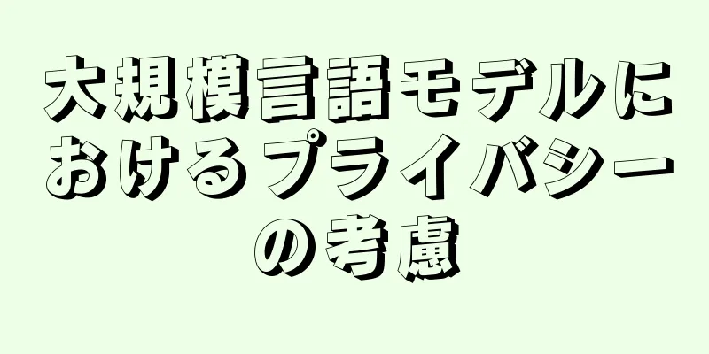 大規模言語モデルにおけるプライバシーの考慮