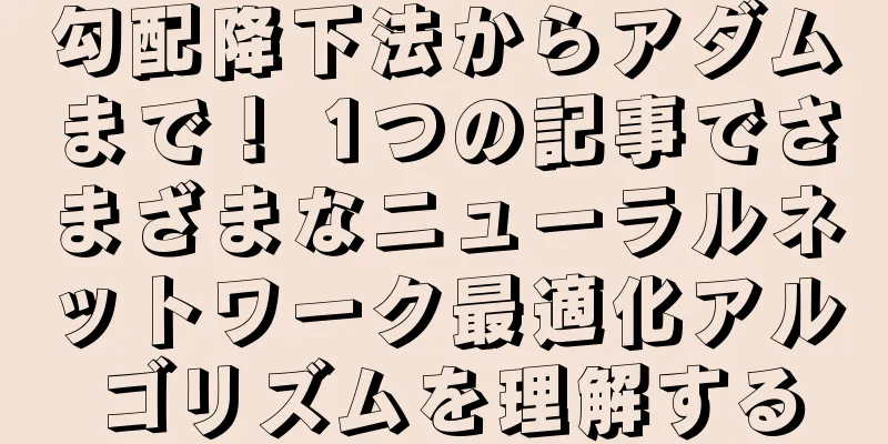 勾配降下法からアダムまで！ 1つの記事でさまざまなニューラルネットワーク最適化アルゴリズムを理解する