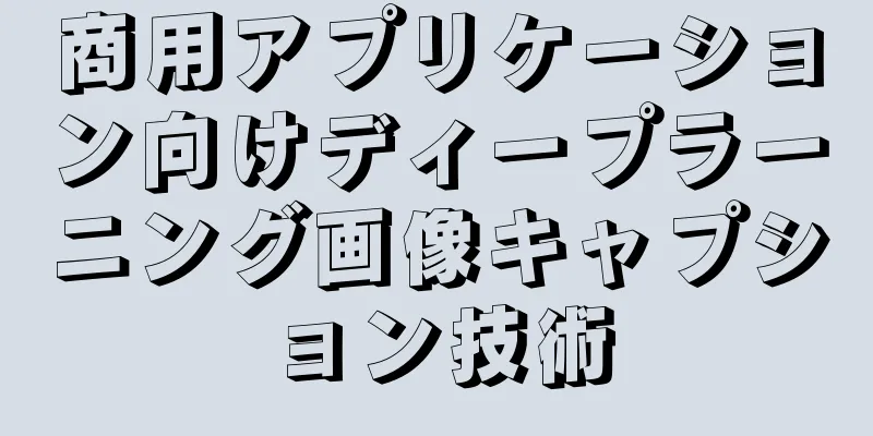 商用アプリケーション向けディープラーニング画像キャプション技術