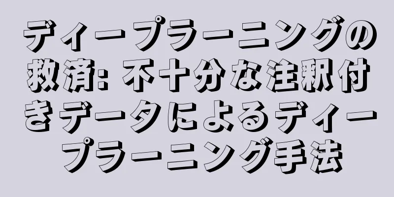 ディープラーニングの救済: 不十分な注釈付きデータによるディープラーニング手法