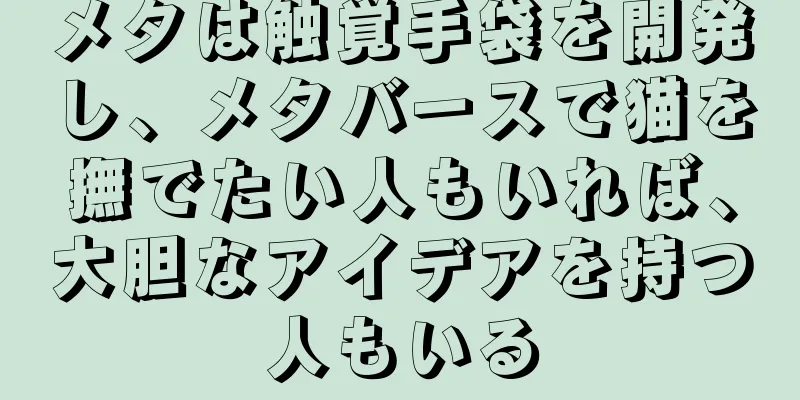 メタは触覚手袋を開発し、メタバースで猫を撫でたい人もいれば、大胆なアイデアを持つ人もいる
