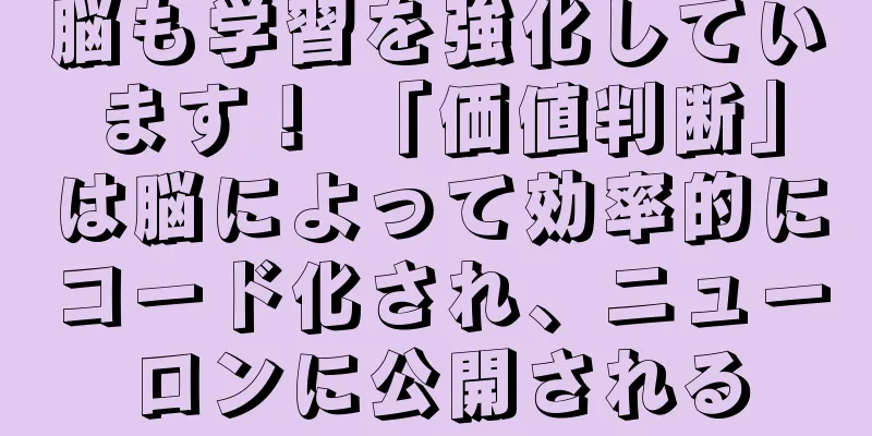 脳も学習を強化しています！ 「価値判断」は脳によって効率的にコード化され、ニューロンに公開される