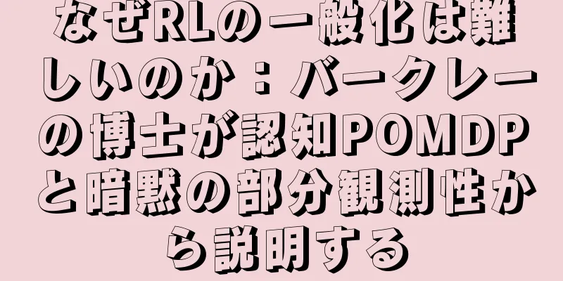 なぜRLの一般化は難しいのか：バークレーの博士が認知POMDPと暗黙の部分観測性から説明する