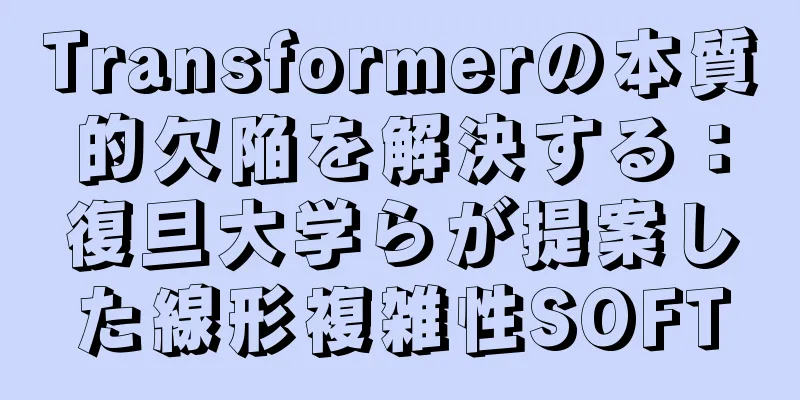 Transformerの本質的欠陥を解決する：復旦大学らが提案した線形複雑性SOFT