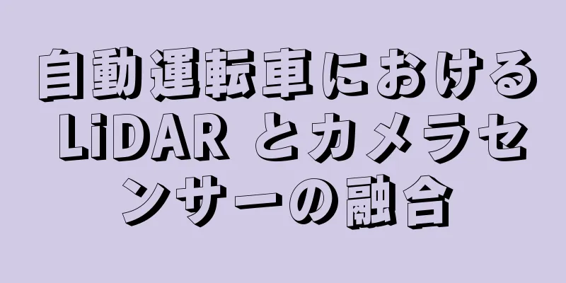 自動運転車における LiDAR とカメラセンサーの融合
