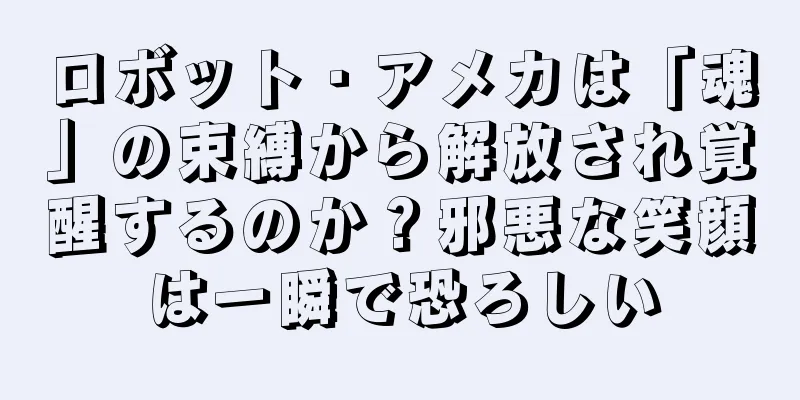 ロボット・アメカは「魂」の束縛から解放され覚醒するのか？邪悪な笑顔は一瞬で恐ろしい