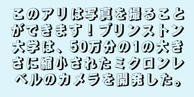 このアリは写真を撮ることができます！プリンストン大学は、50万分の1の大きさに縮小されたミクロンレベルのカメラを開発した。