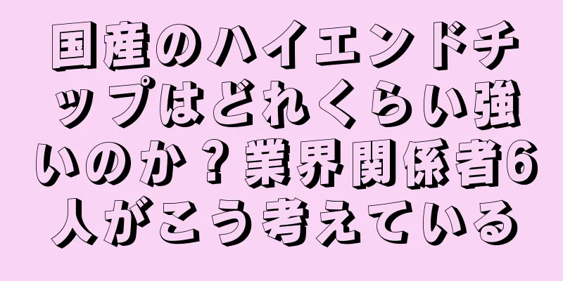 国産のハイエンドチップはどれくらい強いのか？業界関係者6人がこう考えている