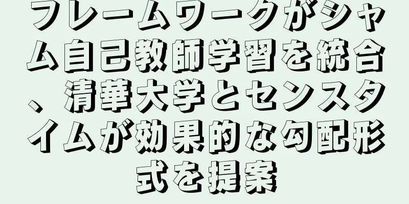 フレームワークがシャム自己教師学習を統合、清華大学とセンスタイムが効果的な勾配形式を提案