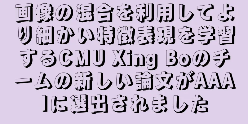 画像の混合を利用してより細かい特徴表現を学習するCMU Xing Boのチームの新しい論文がAAAIに選出されました