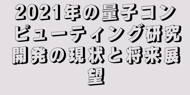2021年の量子コンピューティング研究開発の現状と将来展望