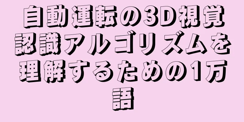 自動運転の3D視覚認識アルゴリズムを理解するための1万語