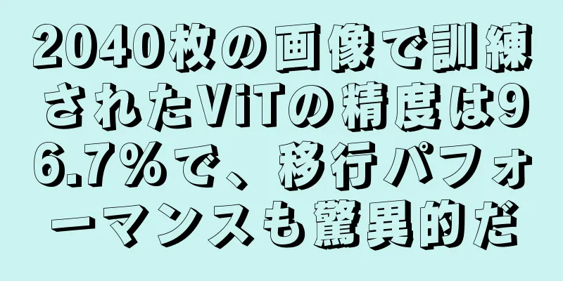 2040枚の画像で訓練されたViTの精度は96.7%で、移行パフォーマンスも驚異的だ