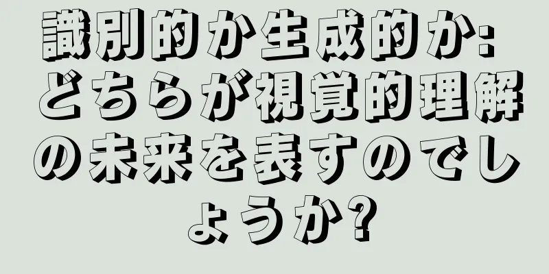 識別的か生成的か: どちらが視覚的理解の未来を表すのでしょうか?