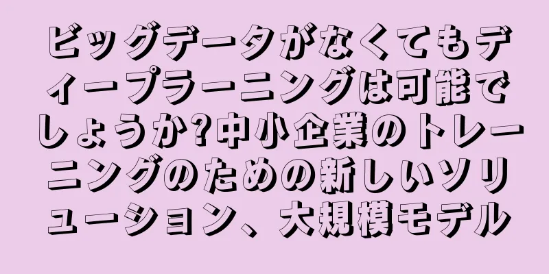 ビッグデータがなくてもディープラーニングは可能でしょうか?中小企業のトレーニングのための新しいソリューション、大規模モデル