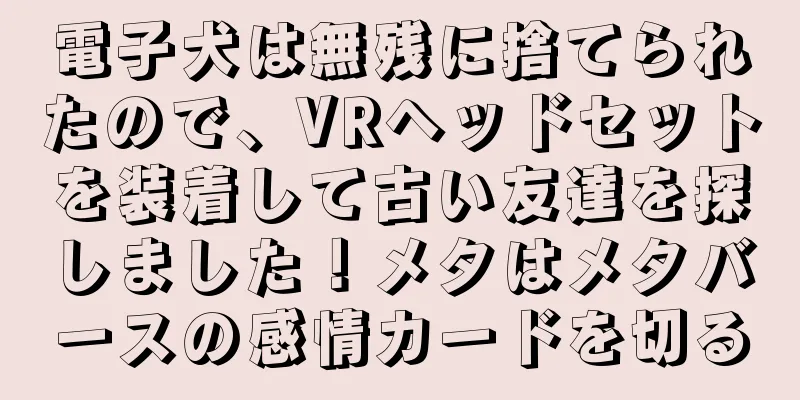 電子犬は無残に捨てられたので、VRヘッドセットを装着して古い友達を探しました！メタはメタバースの感情カードを切る