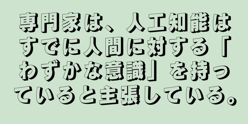 専門家は、人工知能はすでに人間に対する「わずかな意識」を持っていると主張している。