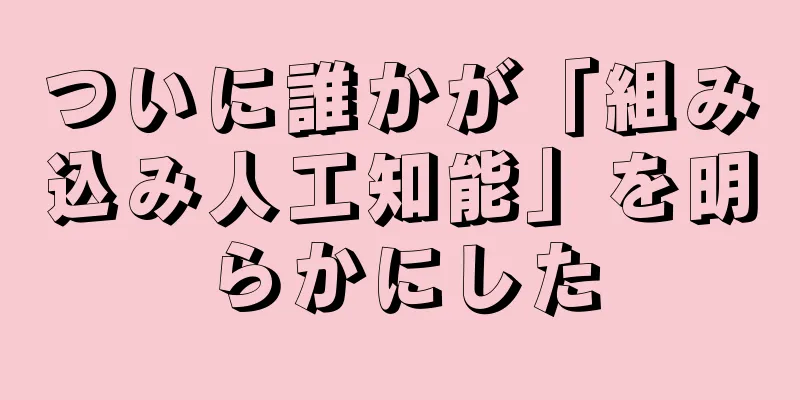 ついに誰かが「組み込み人工知能」を明らかにした