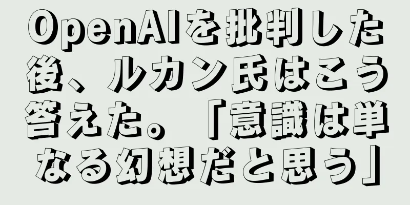 OpenAIを批判した後、ルカン氏はこう答えた。「意識は単なる幻想だと思う」