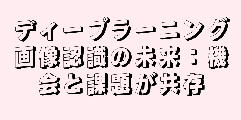 ディープラーニング画像認識の未来：機会と課題が共存