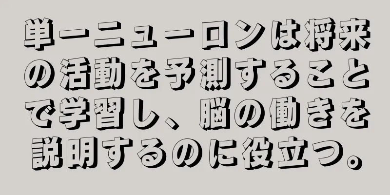 単一ニューロンは将来の活動を予測することで学習し、脳の働きを説明するのに役立つ。