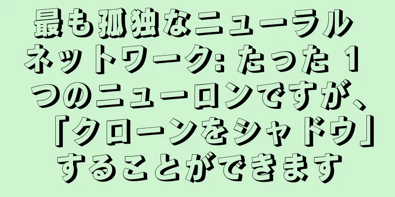 最も孤独なニューラル ネットワーク: たった 1 つのニューロンですが、「クローンをシャドウ」することができます