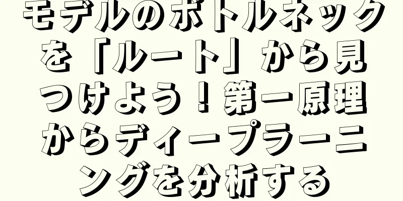 モデルのボトルネックを「ルート」から見つけよう！第一原理からディープラーニングを分析する