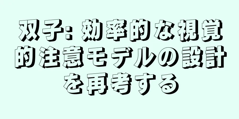 双子: 効率的な視覚的注意モデルの設計を再考する